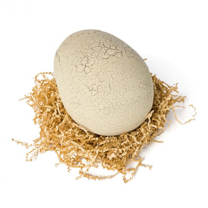 Изгоден комплект: Дино интерактивен Т-рекс, излюпващ се от яйце + Bitzee Джурасик свят с динозаври